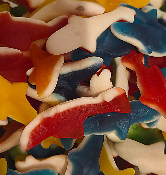 DULCEPLUS REQUIN LISSE