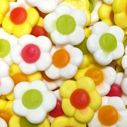 JAKE MARGUERITES DAISIES
